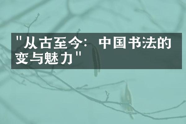 "从古至今：中国书法的演变与魅力"