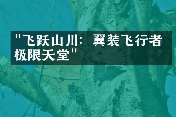 "飞跃山川：翼装飞行者的极限天堂"