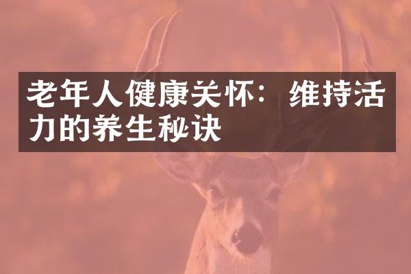 老年人健康关怀：维持活力的养生秘诀