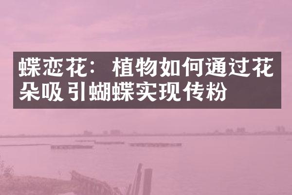 蝶恋花：植物如何通过花朵吸引蝴蝶实现传粉