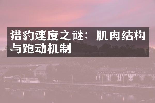 猎豹速度之谜：肌肉结构与跑动机制