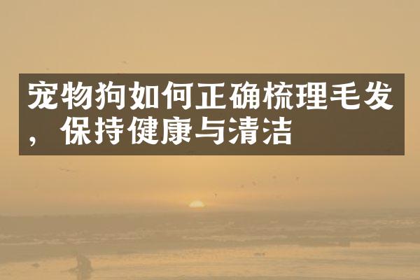 宠物狗如何正确梳理毛发，保持健康与清洁