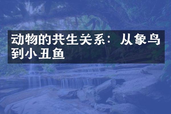 动物的共生关系：从象鸟到小丑鱼