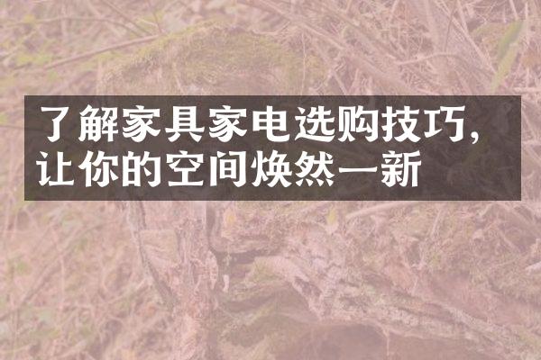 了解家具家电选购技巧，让你的空间焕然一新