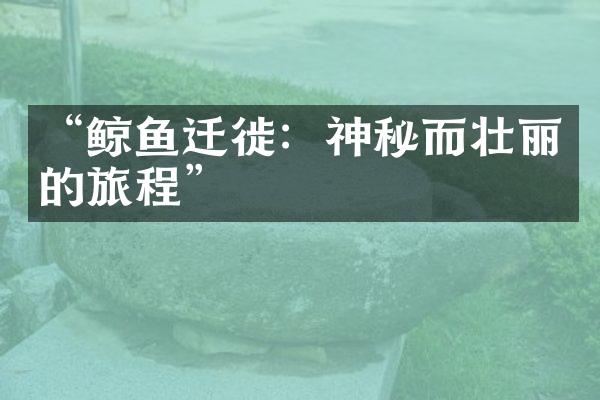 “鲸鱼迁徙：神秘而壮丽的旅程”