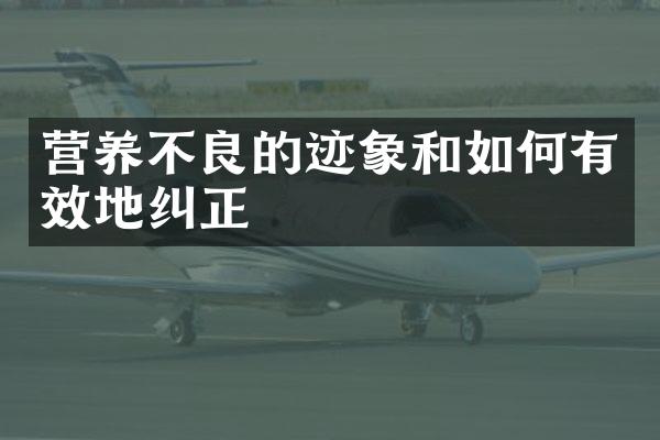 营养不良的迹象和如何有效地纠正