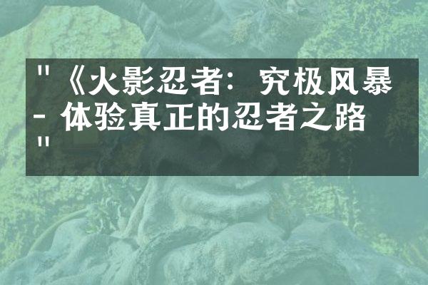 "《火影忍者：究极风暴》- 体验真正的忍者之路！"