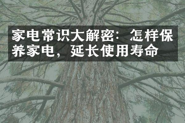 家电常识大解密：怎样保养家电，延长使用寿命？