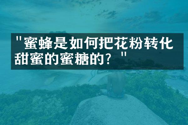 "蜜蜂是如何把花粉转化为甜蜜的蜜糖的？"