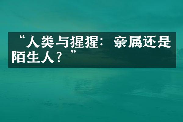 “人类与猩猩：亲属还是陌生人？”
