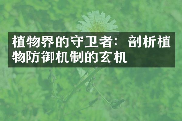 植物界的守卫者：剖析植物防御机制的玄机