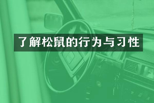了解松鼠的行为与习性