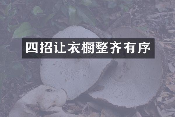 四招让衣橱整齐有序