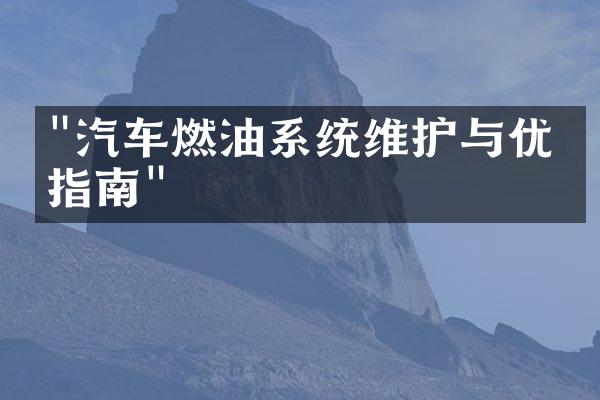 "汽车燃油系统维护与优化指南"