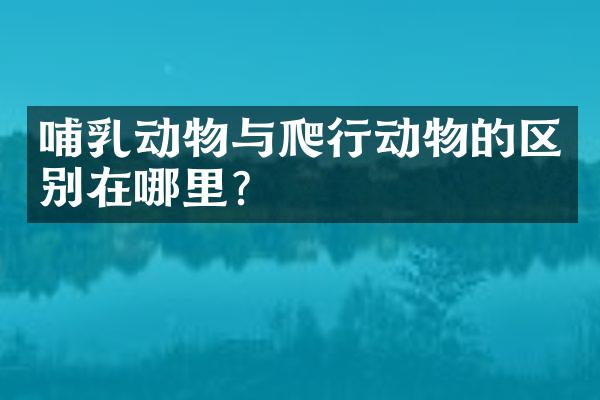 哺乳动物与爬行动物的区别在哪里？