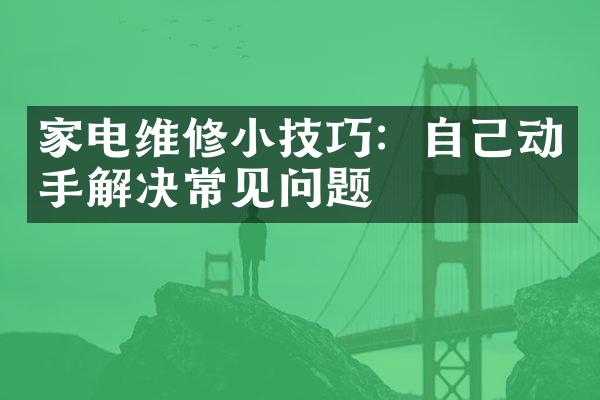 家电维修小技巧：自己动手解决常见问题