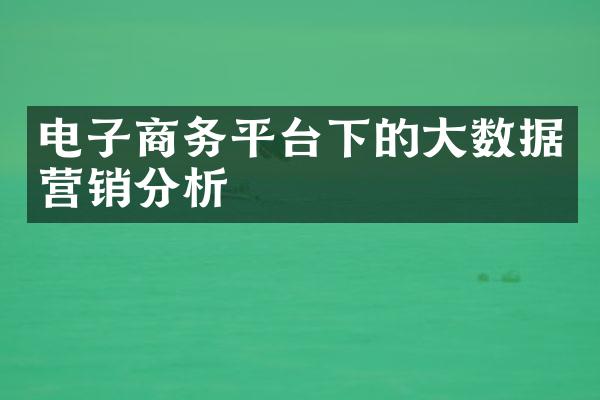 电子商务平台下的大数据营销分析