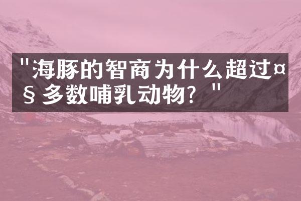 "海豚的智商为什么超过大多数哺乳动物？"