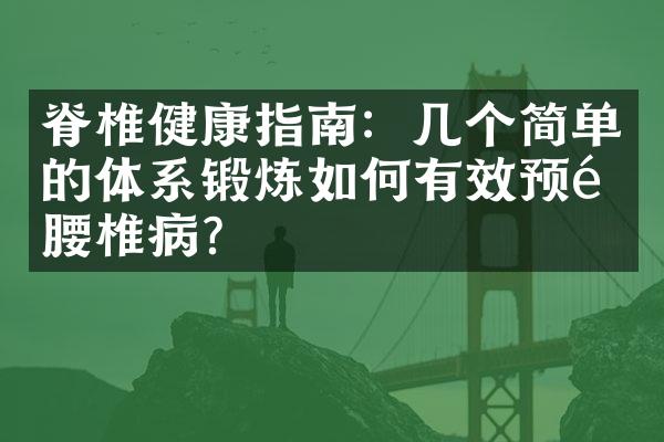 脊椎健康指南：几个简单的体系锻炼如何有效预防腰椎病？