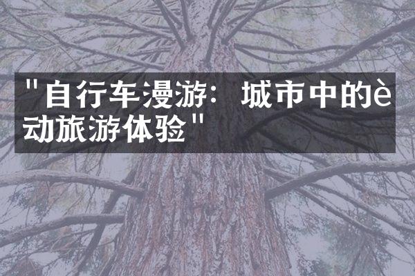 "自行车漫游：城市中的运动旅游体验"