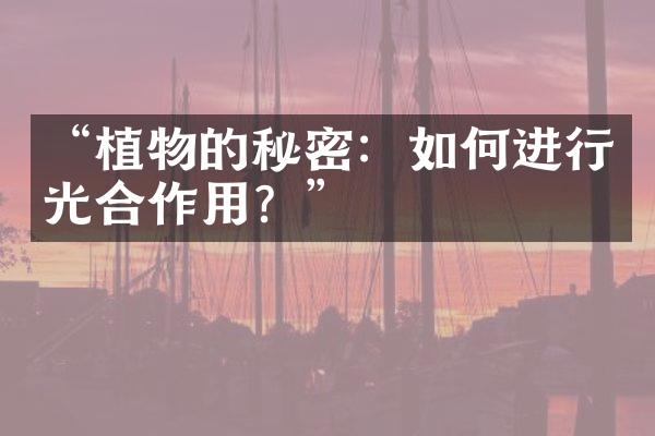 “植物的秘密：如何进行光合作用？”