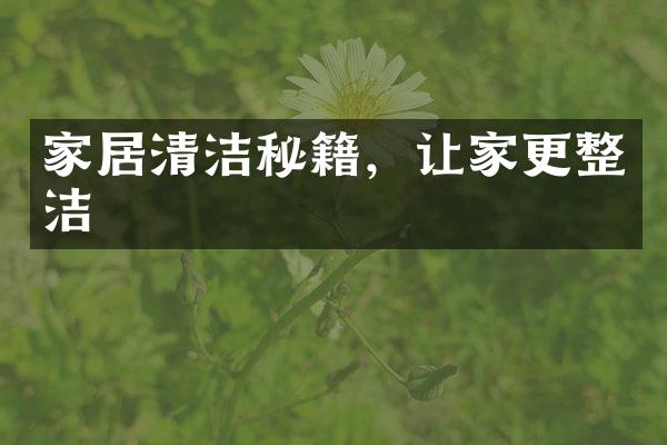 家居清洁秘籍，让家更整洁
