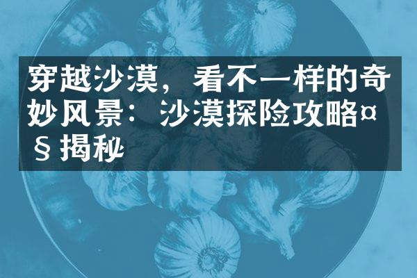 穿越沙漠，看不一样的奇妙风景：沙漠探险攻略大揭秘