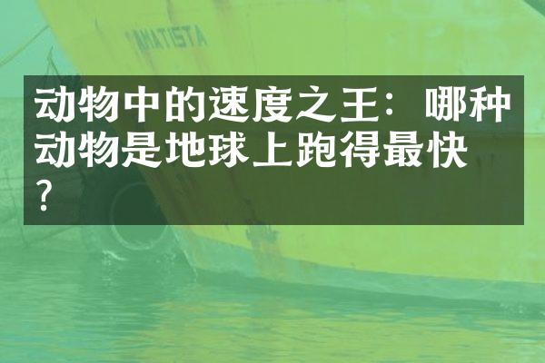 动物中的速度之王：哪种动物是地球上跑得最快的？