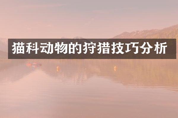 猫科动物的狩猎技巧分析