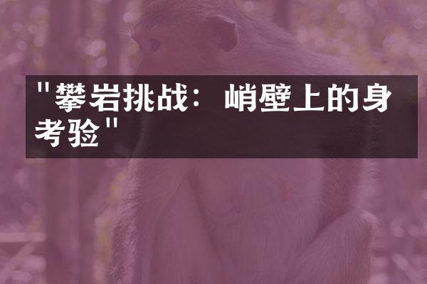 "攀岩挑战：峭壁上的身心考验"