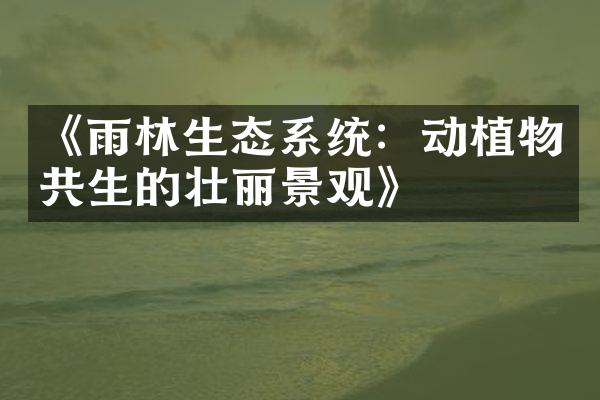 《雨林生态系统：动植物共生的壮丽景观》