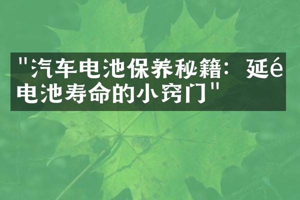 "汽车电池保养秘籍：延长电池寿命的小窍门"