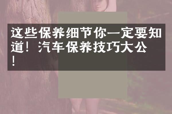 这些保养细节你一定要知道！汽车保养技巧大公开！
