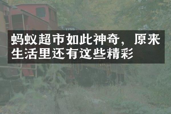 蚂蚁超市如此神奇，原来生活里还有这些精彩