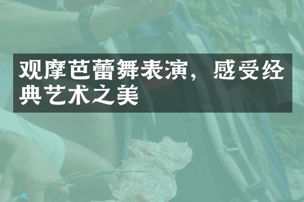 观摩芭蕾舞表演，感受经典艺术之美