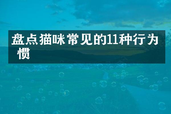 盘点猫咪常见的11种行为习惯