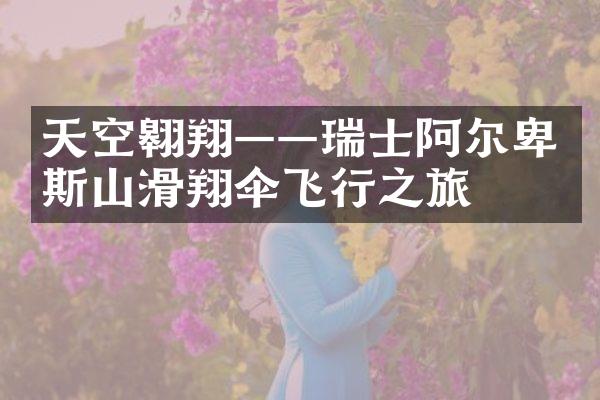 天空翱翔——瑞士阿尔卑斯山滑翔伞飞行之旅