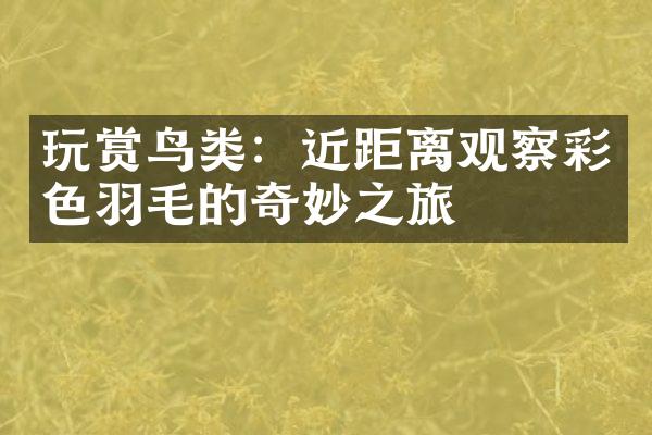 玩赏鸟类：近距离观察彩色羽毛的奇妙之旅