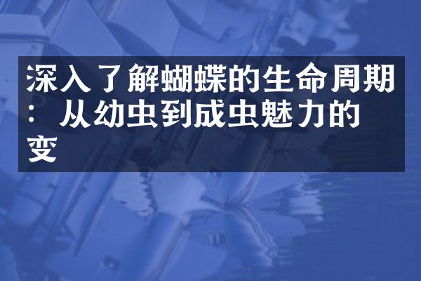 深入了解蝴蝶的生命周期：从幼虫到成虫魅力的演变