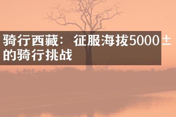 骑行西藏：征服海拔5000米的骑行挑战