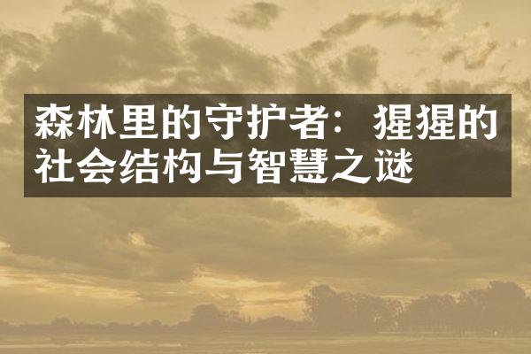 森林里的守护者：猩猩的社会结构与智慧之谜