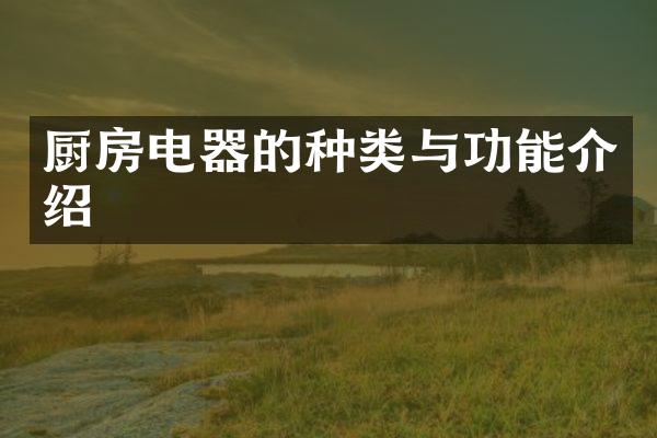 厨房电器的种类与功能介绍