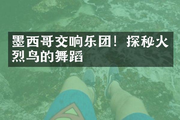 墨西哥交响乐团！探秘火烈鸟的舞蹈