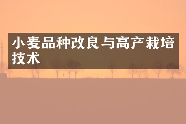 小麦品种改良与高产栽培技术