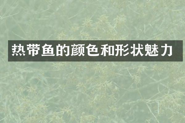 热带鱼的颜色和形状魅力