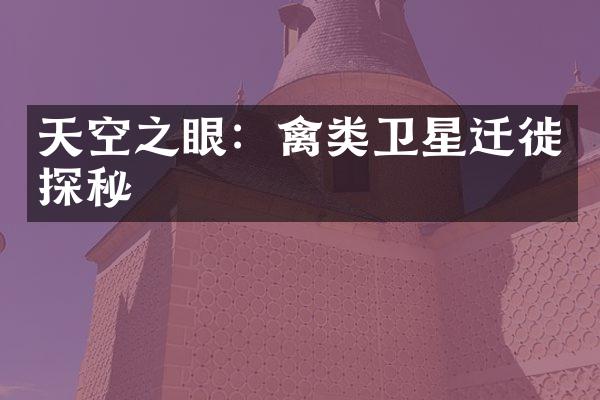 天空之眼：禽类卫星迁徙探秘