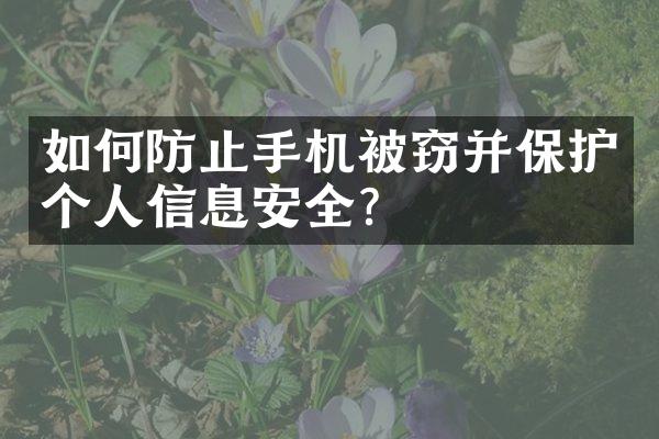 如何防止手机被窃并保护个人信息安全？