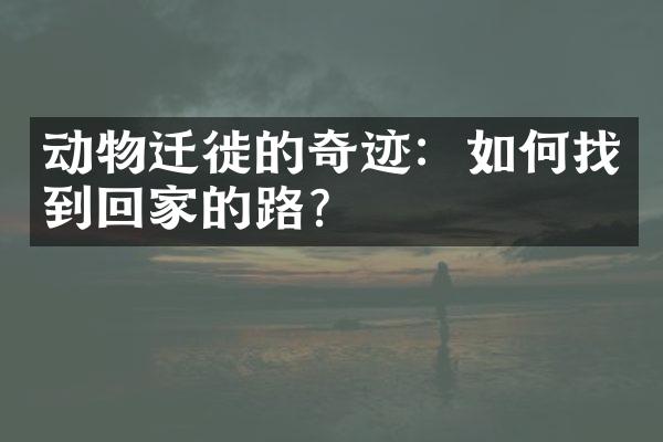 动物迁徙的奇迹：如何找到回家的路？