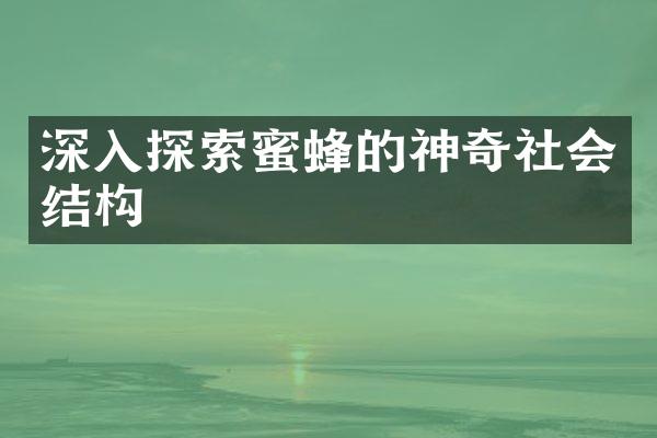 深入探索蜜蜂的神奇社会结构
