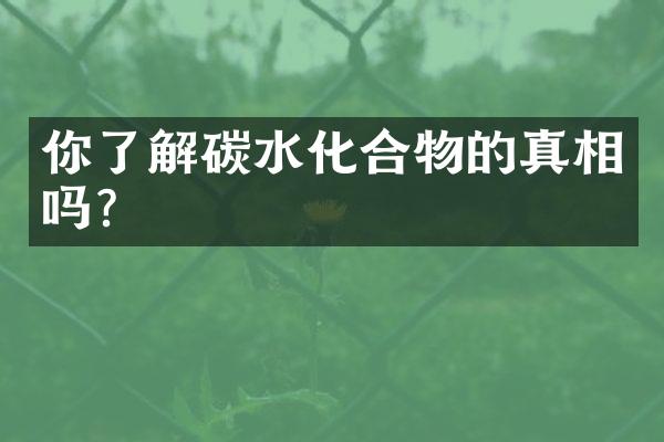 你了解碳水化合物的真相吗？